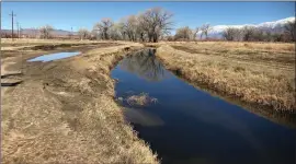  ?? ?? Low water and spooky trout is making fly fishing in Bishop Creek Canal tough.