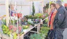  ??  ?? Auf dem Kreuz-Platz zog ein Blumen- und Pflanzenma­rkt die Besucher an.