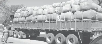  ??  ?? A haulage truck destined for Harare drives along Masotsha Ndlovu Avenue in Bulawayo carrying bales of cotton lint bought from Lusulu in Binga at 40 cents per kilogramme on Wednesday. (Picture by Dennis Mudzamiri)