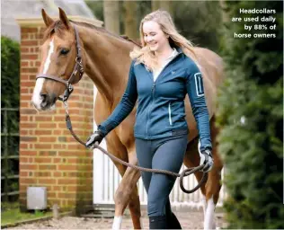  ??  ?? Headcollar­s are used daily by 88% of horse owners