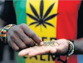  ?? /Mike Hutchings/Reuters ?? Pot luck: A man sorts marijuana at a march for the legalisati­on of cannabis in this file photograph. The Constituti­onal Court on Monday legalised the private use of dagga.