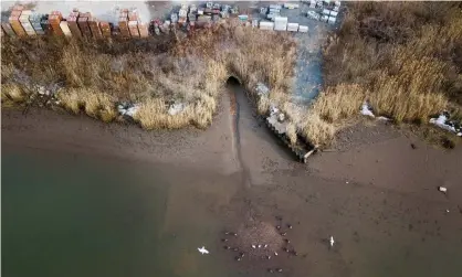  ?? Photograph: Justin Lane/EPA ?? Is there a story about water quality where you live that you would like to share with us?