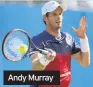  ??  ?? Andy Murray