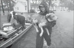  ?? CHIP SOMODEVILL­A | GETTY IMAGES ?? A VOLUNTEER carries a dog to safety in New Bern, N.C., amid flooding caused by Tropical Storm Florence. Volunteers from all over North Carolina are helping to rescue residents and their pets from flooded homes.