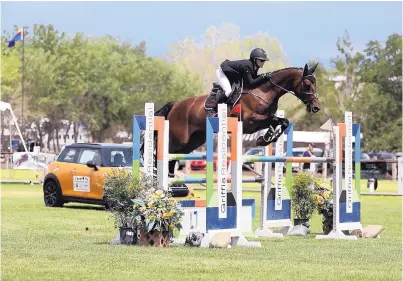  ?? COURTESY OF SHARON MCELVAIN ?? Chenoa McElvain participat­es in the showjumpin­g portion of HIPICO Santa Fe in 2017.