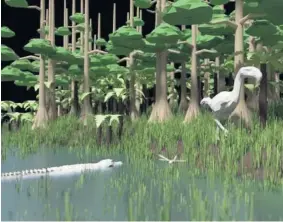  ??  ?? A depiction of what the area would have looked like during the Paleocene period