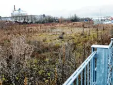  ?? Foto: Wyszengrad ?? Auf diesem Grundstück nahe Kaufland/egm an der Meraner Straße will sich Decath‰ lon ansiedeln.