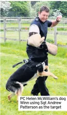  ??  ?? PC Helen McWilliam’s dog Winn using Sgt Andrew Patterson as the target