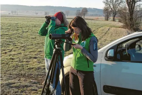  ?? Foto: Jonas Voss ?? Annika Sezi (rechts) ist seit Oktober 2018 als Gebietsbet­reuerin unter anderem für die Reischenau um Dinkelsche­rben zuständig. Hier möchte die 31-Jährige ein Projekt zum Schutz der Kiebitze starten. Unterstütz­ung erhält sie dabei von derzeit vier Ehrenamtli­chen, hier begleitet sie Evi Madalenko-Stuhler.