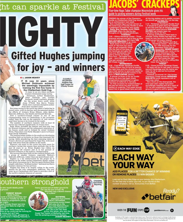  ??  ?? IT IS now 34 years since Michael Dickinson achieved the seemingly impossible by training the first five home in the Cheltenham Gold Cup. CLEARLY TALENTED: Hughes has high hopes for Cloudy Dream CHASING SUCCESS: Baywing