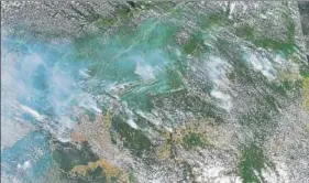  ?? AP ?? A satellite image provided by the NASA shows several fires burning in the Brazilian Amazon forest.