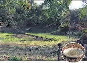  ?? PHOTOS: BACHCHAN KUMAR ?? A pond at Karnala Bird Sanctuary that has dried up owing to rise in temperatur­es. (Inset) A water pot placed at the bird sanctuary.