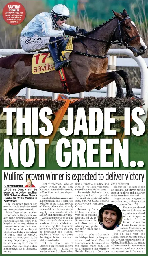  ?? ?? STAYING POWER Jade De Grugy has plenty of stamina and looks like a mare with huge
potential