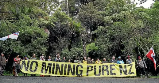  ?? FOREST & BIRD ?? The group protested against mining on conservati­on land in Manginangi­na Scenic Reserve in Puketi Forest, pictured, plus Whakarara Conservati­on Area.