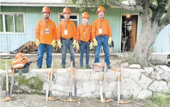  ?? CORTESÍA: CONAFOR ?? La Brigada de Sanidad Forestal ha atendido más de 200 hectáreas.