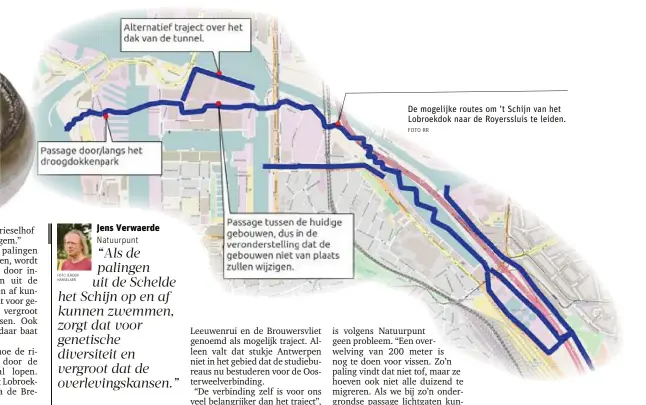  ?? FOTO RR ?? De mogelijke routes om ’t Schijn van het Lobroekdok naar de Royersslui­s te leiden.