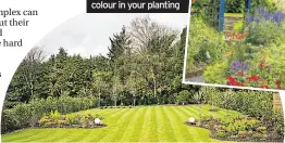  ??  ?? Below: Think how much maintenanc­e can you stand? Inset: Consider colour in your planting