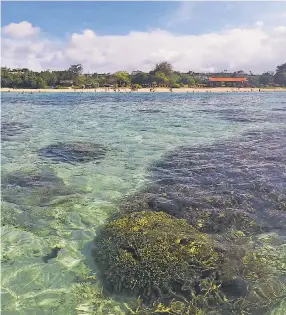  ?? PHOTOS BY GERALD HARRIS/MEDILL NEWS SERVICE ?? The warming waters around Guam are stressing and killing the coral barrier ringing the island. Seen here is Ypao Beach, a popular destinatio­n for tourists and locals to snorkel the coral reef.