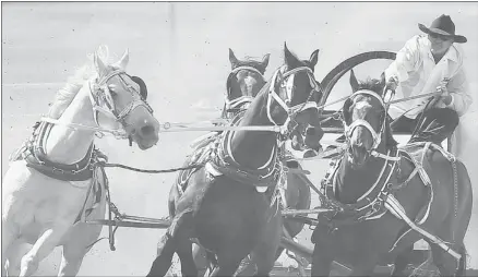  ?? Gavin Young, Calgary Herald ?? Driver John Walters guides his rig in Heat 4 at the GMC North American chuckwagon championsh­ip at High River on Sunday.