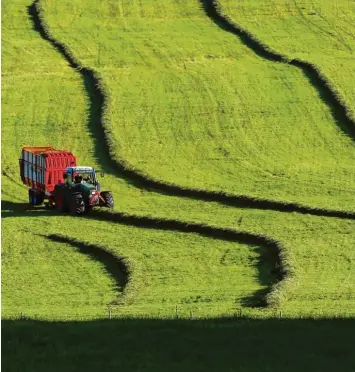  ??  ?? Archivfoto: Karl-Josef Hildenbran­d, dpa Bayerns Umweltmini­ster Thorsten Glauber ruft vor allem auch die Landwirte auf, sich aktiv in die Diskussion um mehr Artenschut­z einzubring­en.