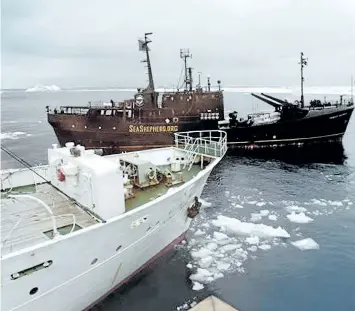  ?? SEA SHEPHERD CONSERVATI­ON SOCIETY HANDOUT/GETTY IMAGES ?? Japanese whaling ship Kaiko Maru, left, and the Farley Mowat protest boat are seen in this file photo.