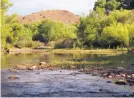  ?? ROBERT BROWMAN/JOURNAL ?? The Gila River near Cliff. The settlement acts of 2004 allowed New Mexico to divert 14,000 acre-feet from the river.