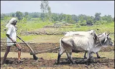  ?? MUJEEB FARUQUI/HT FILE ?? An official said, to implement the scheme, the government will rely on a ‘management informatio­n system platform’, a software that will connect states, banks and farmers