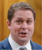  ??  ?? SCHEER