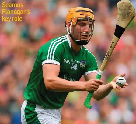  ??  ?? Seamus Flanagan’s key role