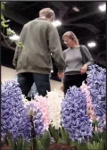  ?? University of Arkansas System Division of Agricultur­e/ MARY HIGHTOWER ?? Visitors tiptoe through a garden design exhibit during the 2017 Arkansas Flower and Garden Show. Such displays will be in the Hall of Industry and Barton Coliseum for the 2018 show.