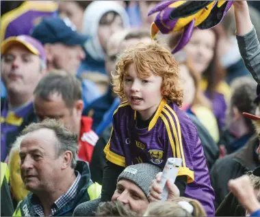 ??  ?? Fans celebrate on the pitch at Innovate Wexford Park after Wexford’s win over Kilkenny.