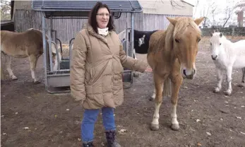  ?? FOTO: EPD ?? Reittherap­eutin Daniela Höpfel zeigt auf der Koppel am Martin-Luther-Haus ihre Vierbeiner.