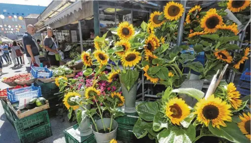  ?? Foto: Annette Zoepf ?? Mitten im Herzen von Augsburg liegt der Stadtmarkt: In lebendiger Atmosphäre findet man frische Lebensmitt­el, eine bunt gemischte Gastronomi­e und vieles mehr.