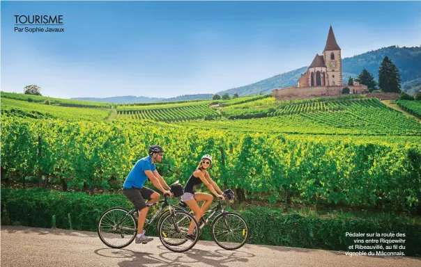  ??  ?? Pédaler sur la route des vins entre Riquewihr et Ribeauvill­é, au fil du vignoble du Mâconnais.