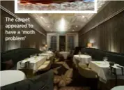  ??  ?? The carpet appeared to have a ‘moth problem’ Book it: From £150 per night B&B; 21212resta­urant. co.uk. Five-course tasting menu, £75 per person. Open Tuesday to Saturday