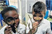  ??  ?? NEW WORLDS: Eager to learn new things, Westering Primary grade 1s Ronald Chanetsa, 6, and Jordan Farmer, 6, put nature under scrutiny Picture: EUGENE COETZEE PICTURE SPECIAL: PAGE 9