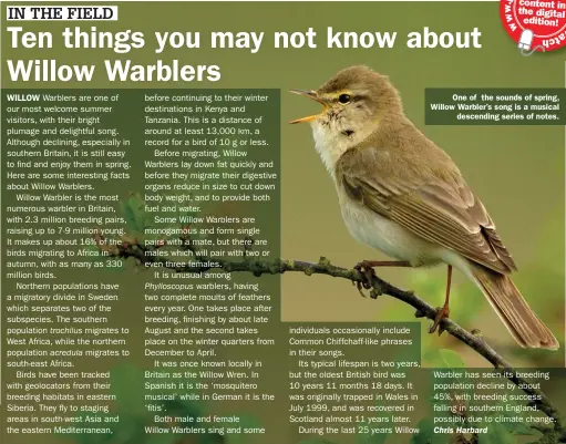  ?? ?? One of the sounds of spring, Willow Warbler’s song is a musical descending series of notes.