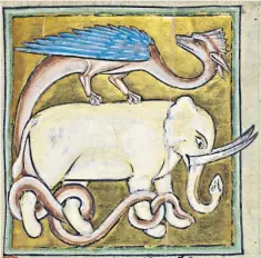  ??  ?? An elephant entangled with a dragon’s tail, in a 13th-century bestiary from Durham