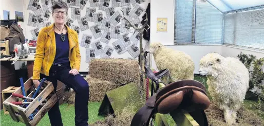  ?? PHOTO: PETER MCINTOSH ?? Baa ha ha . . . Taxidermie­d sheep take up temporary residence in Sue Bidrose’s Dunedin City Council office as the outgoing chief executive is pranked by her staff in her final week in the role.