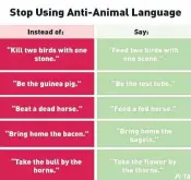  ??  ?? PETA's new campaign to get rid of anti-animal language has gone to the dogs, Vinay Menon writes.