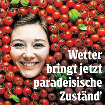  ??  ?? Der 8. 8. ist nicht nur Weltkatzen­tag, sondern auch der „Tag der Tomate“, hierzuland­e Paradeiser genannt