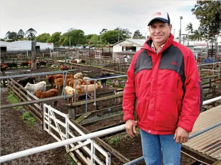  ?? PHOTO: EMILY FIELDING ?? CATTLE SALE: Elders Toowoomba branch manager Darren Hartwig at the saleyards.