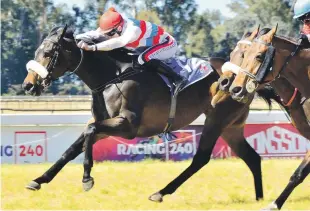  ?? Picture: JC Photograph­ics ?? VALUE. Hawkbill teams up with Piere Strydom in Race 9 at Turffontei­n today and that could be a winning combinatio­n.