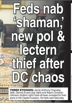  ??  ?? THREE STOOGES: Jacob Anthony Chansley (left), Derrick Evans (top right) and Adam Christian Johnson (bottom right) have all been arrested for their parts in the Capitol invasion, the feds said Saturday.