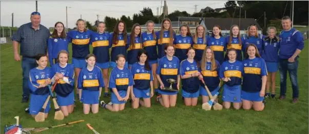  ??  ?? The Carnew Emmets under-14 camogie team with their mentors after their victory over Aughrim in the ‘A’ county final in Pearse’s Park, Arklow.