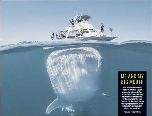  ??  ?? This is the unbelievab­le moment in which a giant whaleshark looms below a boat full of unsuspecti­ng tourists who are basking in the sun. Taken by Tom Cannon, 26, the photo shows the gaping abyss that is the whaleshark’s mouth as it filters out plankton.