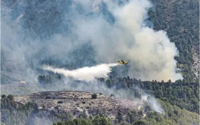  ?? Foto: David Revenga ?? Bei dem Feuer sind knapp 700 Hektar Waldlandsc­haft verbrannt.