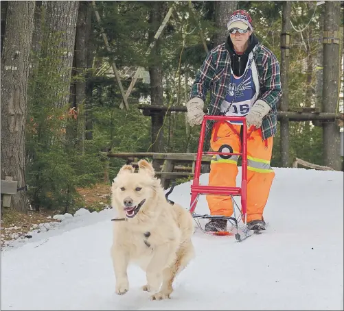  ?? COLIN CHISHOLM ?? Dave Fraser from East Uniacke tries out the track with his dog and a kick sled.