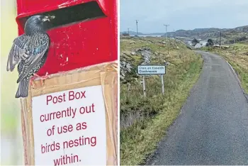  ?? ?? RETURN ADDRESS: It’s the second time starlings have nested in Clashnessi­e post box.