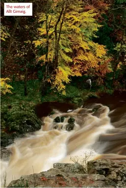  ??  ?? The waters of Allt Girnaig.